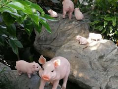 -北京植物园-展览温室