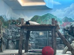 -武汉动物园