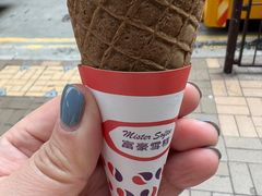 -富豪雪糕车流动点(尖沙咀店)