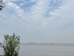 -吴淞炮台湾湿地森林公园烧烤区
