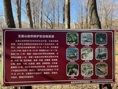 -玉渡山自然风景区