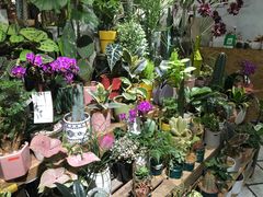 -缦云里花园餐厅