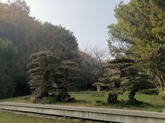 -团城山公园