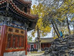 -北京艺术博物馆(万寿寺)