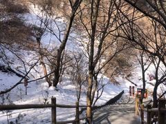-华山风景名胜区