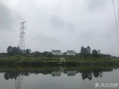 -紫颐香薰山谷景区