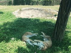 -西安秦岭野生动物园