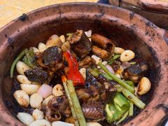 -天宝食坊·啫啫煲大排档(西华路店)