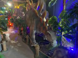 -恐龙探索乐园(磁器口店)