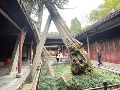 -太平天国侍王府