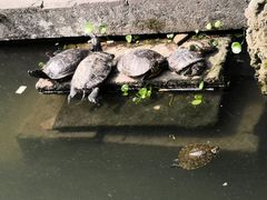 -宁波市保国寺古建筑博物馆