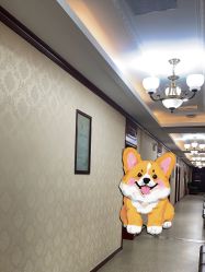 -南京医科大学友谊整形外科医院