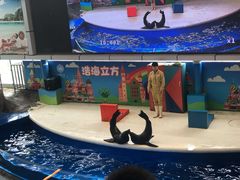 -成都浩海立方海洋公园