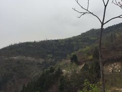 -北京鹫峰国家森林公园
