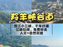 -鼎香皇高佬苏裹蒸粽