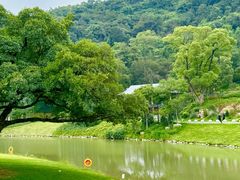 -大罗山风景区