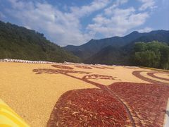 -新安江山水画廊风景区