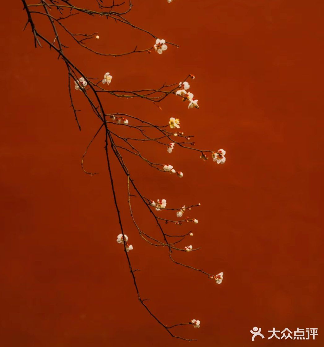 今天外卖吃什么 吃这些