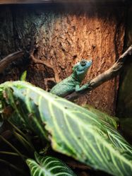 -酷嗒动物文化乐园(cutezoo西溪乐天城店)