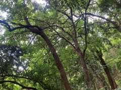 -飞霞风景名胜区