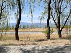 -野鸭湖国家湿地公园