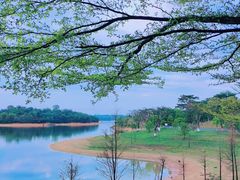 -松山湖风景区松湖烟雨