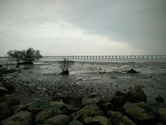 -宝安西湾红树林湿地公园