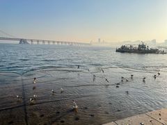 -星海广场