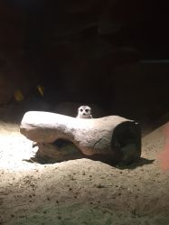 -酷嗒动物文化乐园(cutezoo西溪乐天城店)