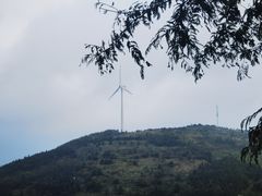 -东白山
