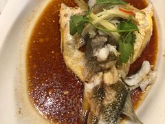 -T11生鲜超市(朝阳公园店)