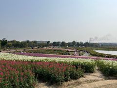 -径山花海