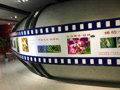 -上海昆虫博物馆