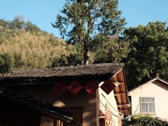 -杨家堂村