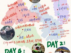 -成都大熊猫繁育研究基地