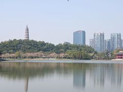 -顺峰山公园