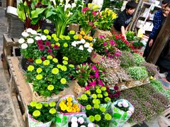 -秦美花卉(天朗·莱茵小城2期店)