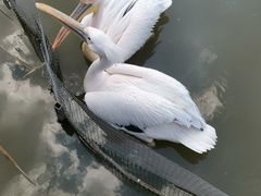 -宁波杭州湾国家湿地公园