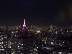 -东京都厅舍