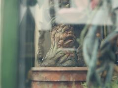 -哈利波特魔法世界