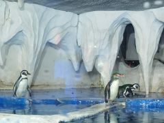 -太平洋海底世界