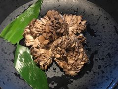 有机舞菇-煲宫猪肚鸡(晶品店)