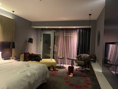 -南京禄口机场雅高铂尔曼大酒店