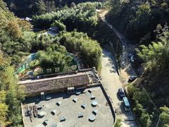 -栾川竹海野生动物园