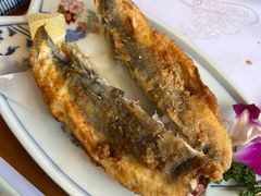 手撕河豚鱼-天正河鲀·河豚亭(大连店)