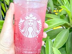 -星巴克臻选(泉州浦西万达广场店)