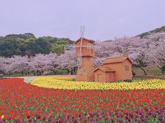 -苏州上方山国家森林公园