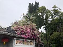 -深圳国际园林花卉博览园