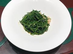 果仁爱沙葱-九十九顶毡房(阜石路店)