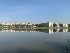 -南汇新城城市公园